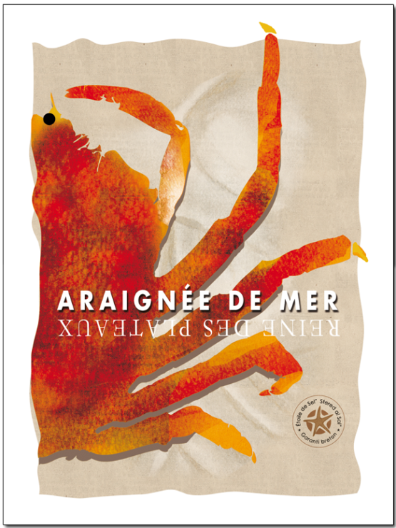 L'araignée de mer ou Maja squinado est une spécialité bretonne. retrouvez là en affiche sur le site étoile de sel