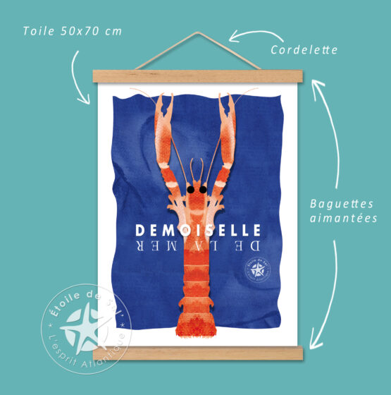 affiche et cadre aimanté de la langoustine bretonne