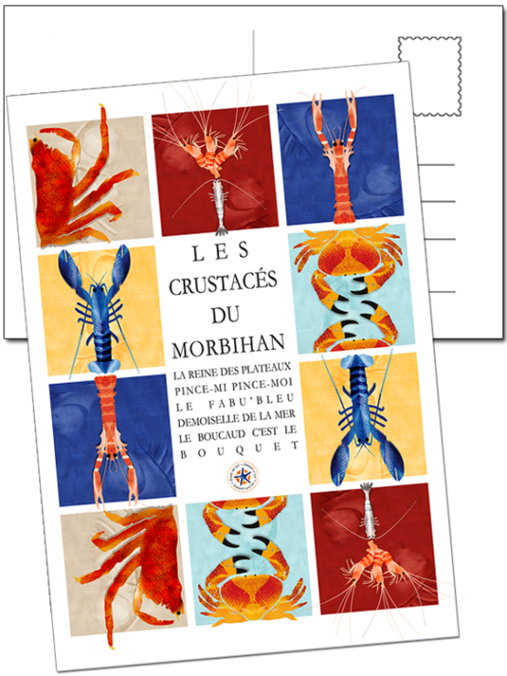 retrouvez les crustacées du morbihan sur une seul carte postale
