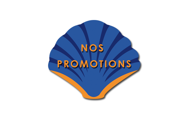 catégorie promotions et bonnes affaires du site étoile de sel'