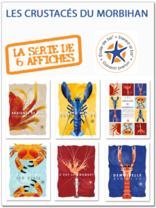 le plateaux de fruits de mer du morbihan par étoile de sel