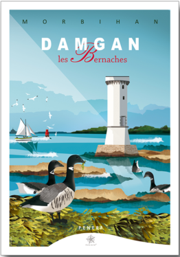 la bernache cravant oiseau migrateur