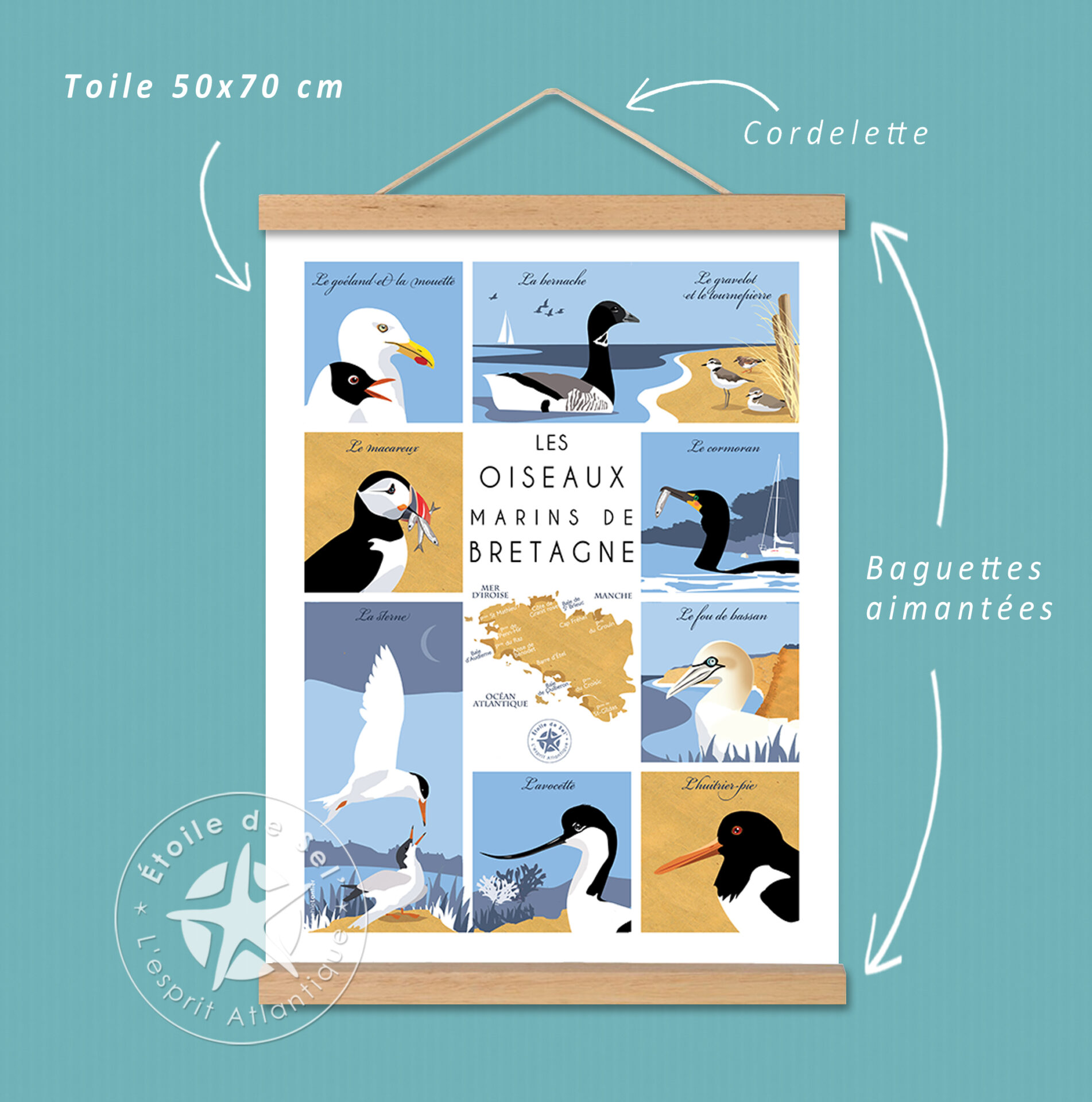 La mouette, le goéland, le macareux moine, l'avocette élégante, le Fou de Bassan, la sterne pierregarin, le gravelot à collier interrompu, a bernache cravant et le grand cormoran sont sur cette affiche