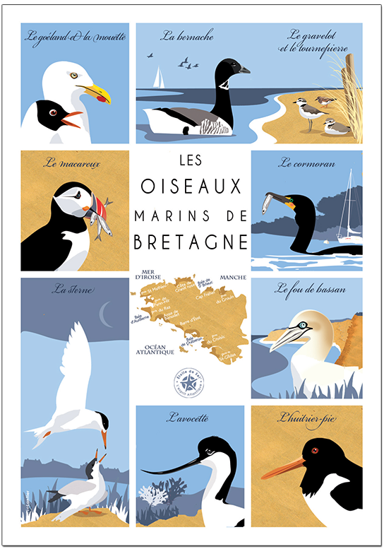 carte des oiseaux marins de bretagne