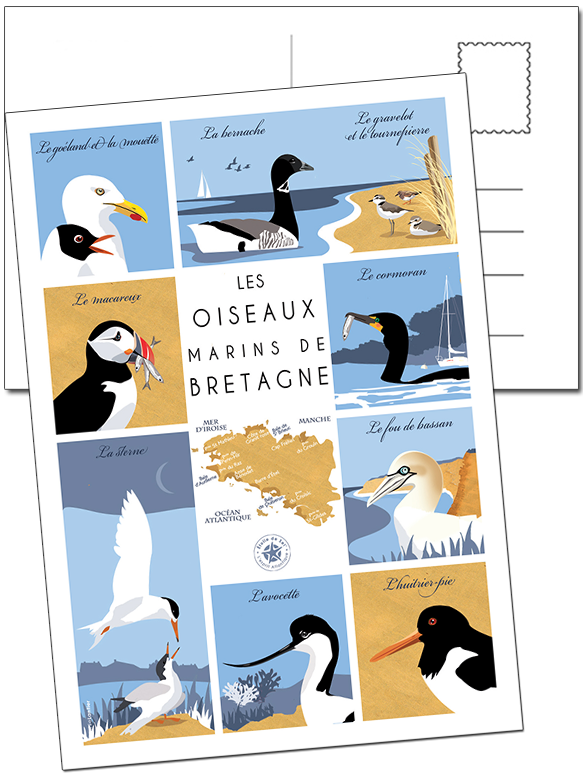 carte des oiseaux marins