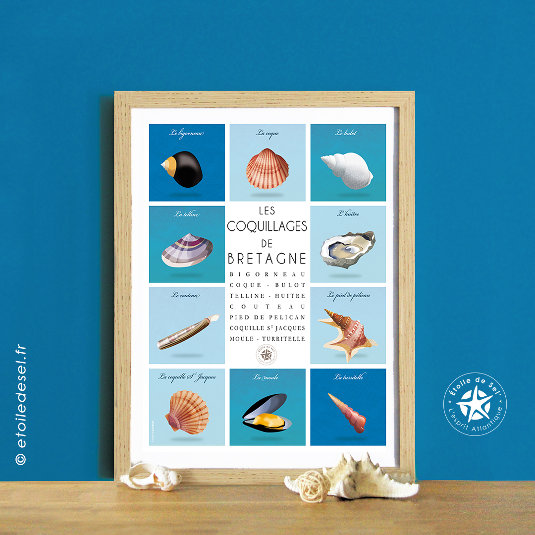 les coquillages bretons sur une affiche