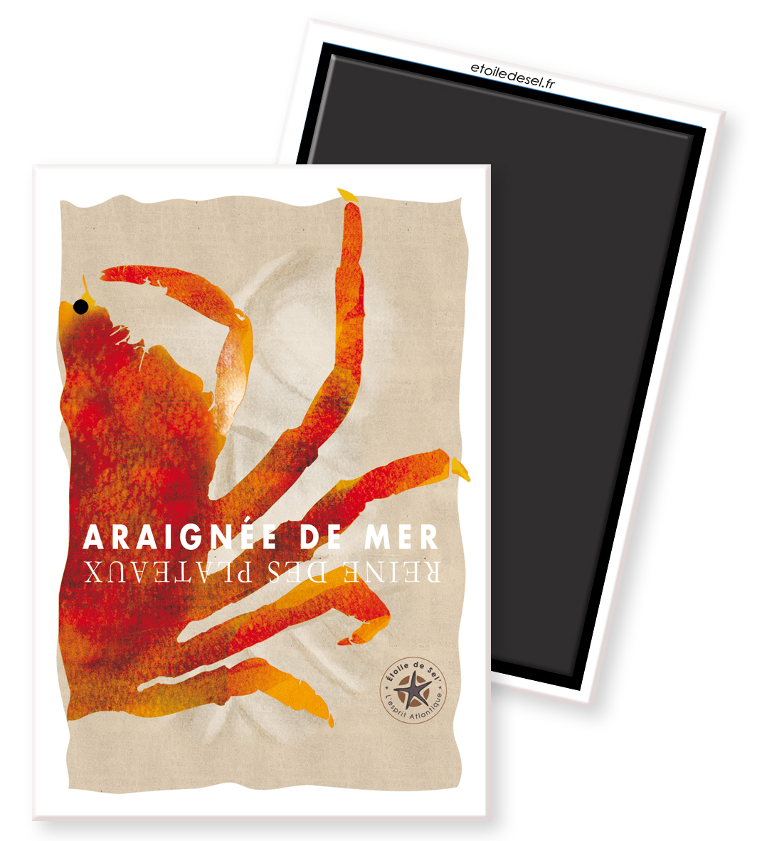 magnet araignée de mer magnet araignée