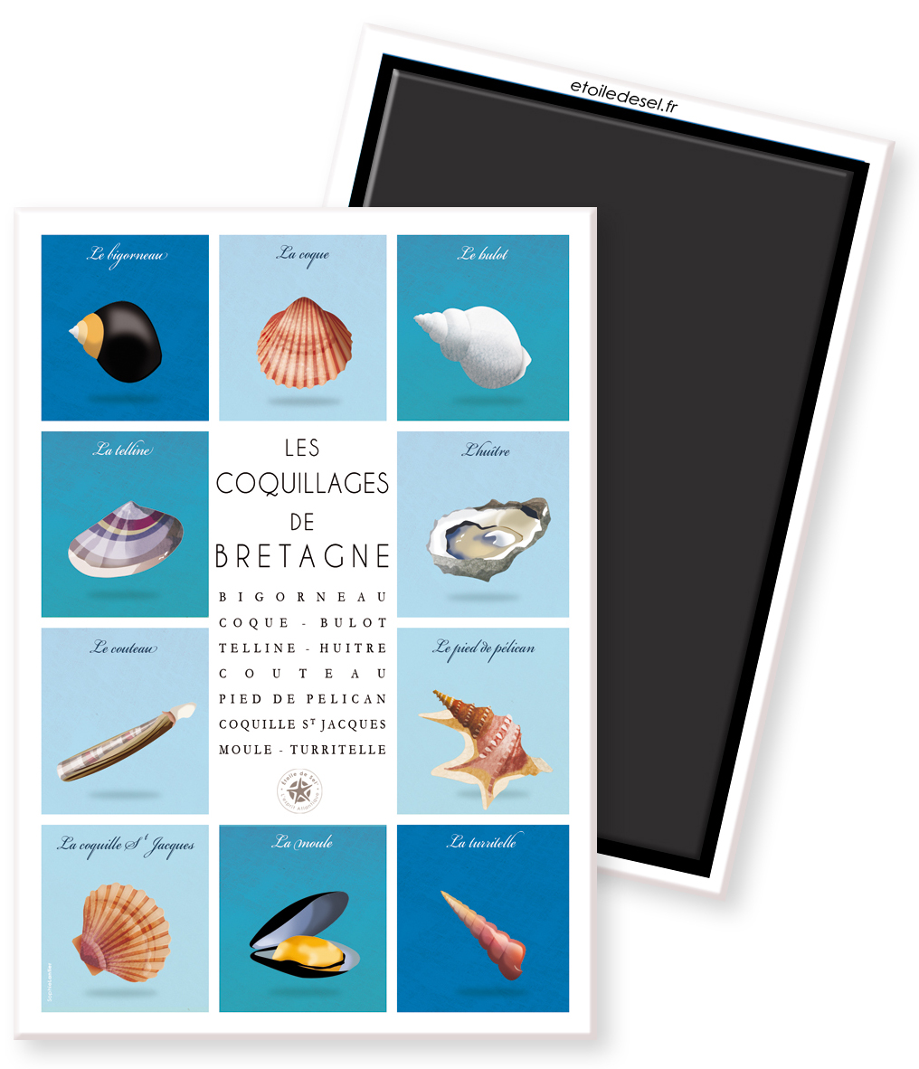 magnet damier coquillage de bretagne magnet coquillages bretagne