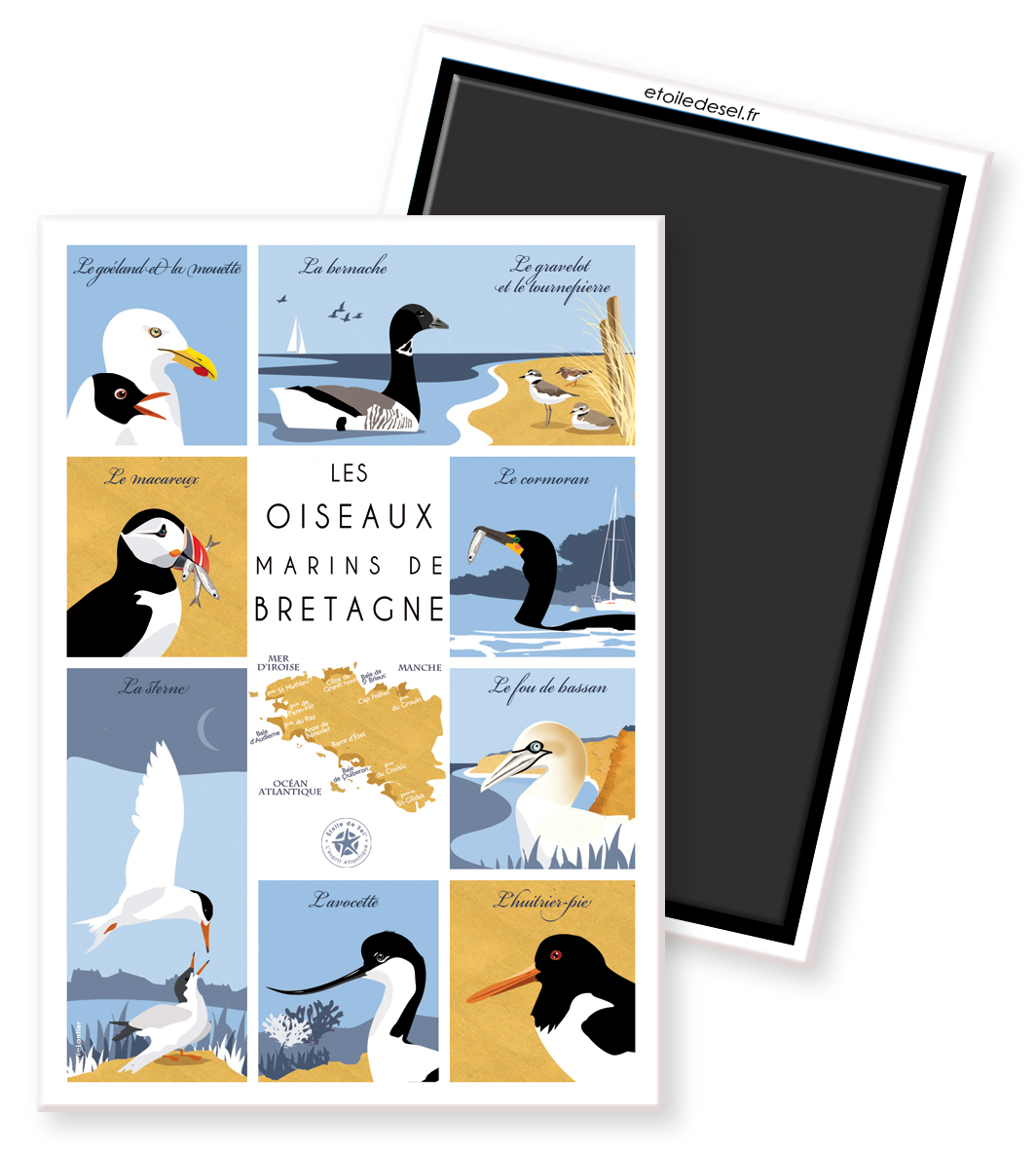 magnet damier oiseaux marins de bretagne magnet oiseaux marins